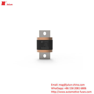 EV8-MKM 450A-1000A DC500V فيوز ایمنی باکس شده برای ترمینال خودروهای الکتریکی