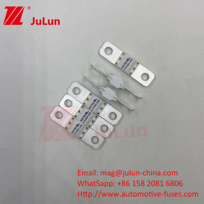 فيوز اتومبيل خودرو خودرو الکتريکي ASTM FUSE 300A 125VDC بولت On