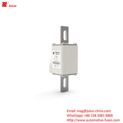 160A-550A DC1000V فیوز وسایل نقلیه الکتریکی RSZ307-1-Q5Z نوع ترمینال فیوز های بولت