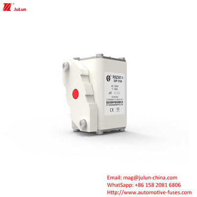 315A AC1000V شارژر EV قابل حمل فیوز ماشین با ظرفیت شکستن بالا