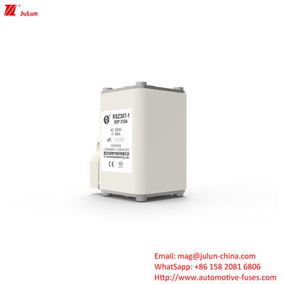 315A AC1000V کشتی های ترانزیتی راه آهن صنعت خودروهای الکتریکی فیوز