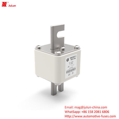 RSZ307 200A-450A DC250V فیوز خودروهای الکتریکی