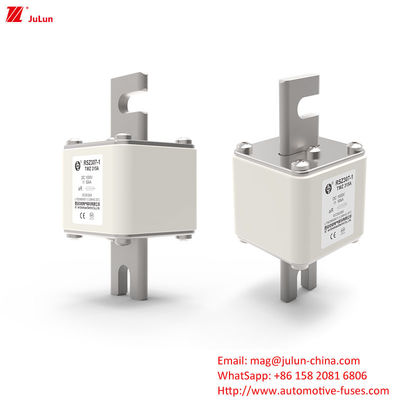 200A-450A فیوز شارژر باتری خودرو برای حفاظت از سیستم برق