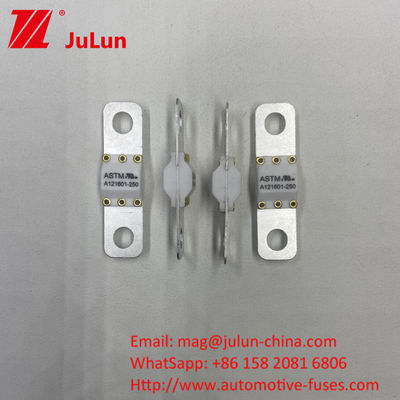 A121601-100A 3KA 6KA 8KA شکستن شارژ خودروهای الکتریکی فیوز خودرو