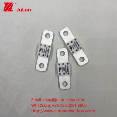ASTM فیوز خودروهای الکتریکی A202008 300A فیوز 125VDC نوع ترمینال AC Ev شارژر آداپتور سازگار با ظرفیت شکستن 20KA
