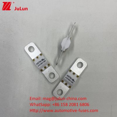 300A 125VDC قابلیت شکستن بالا فیوز های سرامیکی خودرو برای تبدیل قدرت